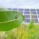 꿀벌태양광발전소 이미지