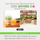 당신이 바로 유아이티(UIT) NEW ARRRIVAL 리틀가든 홍보대사!