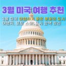 3월 미국 추천 여행지, 벚꽃이 만개하는 워싱턴 DC 여행! 백악관, 링컨 기념관부터 포토 스팟, 맛집까지?