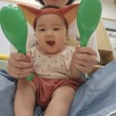 (영)제주친환경 | 이마트 신도림점 뽀작뽀작 오감 자연놀이 - 6개월 아기랑 문센 오감놀이 내돈내산 수강후기