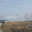 백석리 티스토리