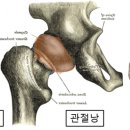 24시 나음동물의료센터 이미지