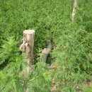 느티나무2농장 이미지