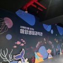 해비치펜션 | 대부도 가족여행 개별바베큐 스파펜션 더해비치펜션 후기 with해양생태박물관