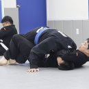 유성태권도스쿨 이미지