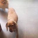 미라클 동물병원 이미지