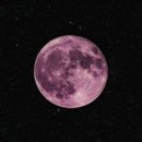 블루문 - 광진구 뚝섬로27길 59-6 | 블루문
