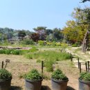 산들수목원 이미지
