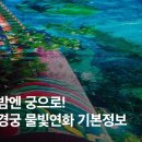 일상의 생활요리 (야간) 이미지