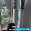 제주에닥
