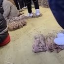 오징어닷컴