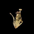 수촌리 고분군 이미지