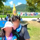 2024 이슬라이브페스티벌 후기 스트레스 쫘악 날린 가평축제