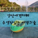 대형애견 | 양산애견카페추천 <어곡 애댕의숲> 상북면통도사근처 대형 애견카페 후기