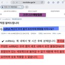 🌳🍇🍊 좋은 열매나무와 제노사이드 이미지