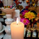 세븐일레븐 경산옥산대로점 | 경산 신년운세 맛집, 천상장군에서 알려준 아들의 입시(feat. 세번째도전)