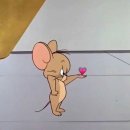토군 이미지