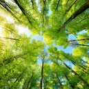 영원을위하여 이미지