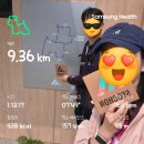 댕댕# | [러닝일기]아디다스 서촌 댕댕런 후기 (반다나 증정, 댕댕런 지도, 네비 경로 제공)