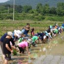 광주동초등학교 이미지