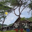 동가래별빛 - 5631 | 동가래별빛