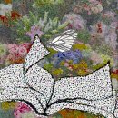 식물도감 이미지