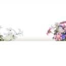 그린버드스튜디오