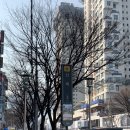 대구 피부관리, 수성구 피부관리 [피어나 에스테틱]에서 살도 빼고 피부도 탱탱하게 만들고 왔어요♥