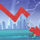 판교시장 이미지