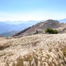 10/30(목)은빛 민둥산 가을산행 이미지