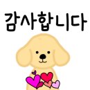 진해물산 이미지
