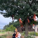 농촌목장 | 매일아이 추천인 show99119 고창 상하목장 할로윈 빙고 입장권할인 꿀팁 후기