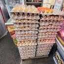 농우축산 티스토리