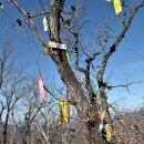 [국도3] 충주시 화천리