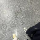 치킨에홀린까닭홀까닭 이미지