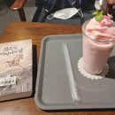 237플랫폼 이미지