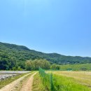 삼가2통 이미지