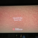 황새마을 | 30th biff 부국제 중간 후기 (노래하는 황새 깃털, 아코디언 도어, 파더 마더 시스터 브라더)