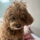 똘이똘이엄마식당 | 2025년 로그아웃