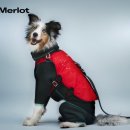 Yo Move | [내돈내산] 멀로(Merlot) | Tamna™ Puffer Sage