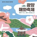 매화1길 이미지