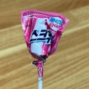 빡짐 | [20240212~18] : 돌림판 1등 나야 나!