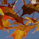 강동대로 이미지