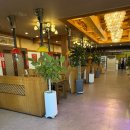 다담골숯불갈비(목포점) | 목포 담양숯불갈비, 구워 나와 편한 현지인 맛집! 매운 갈비와 돌솥비빔밥 후기