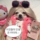 영기획 이미지