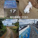 제주 올레길 17코스 | 국내여행#(44)(제주도) 제주올래길 17코스 완주후기 #1