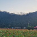 산소카페 청송정원 매표소 근처 | [청송가볼만한곳][애견동반]경북 청송 9월부터 무료개방 산소카페 청송정원 백일홍 축제 명소