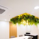 메이트메디컬 이미지