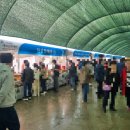 경북영주 풍기인삼축제 | 2025년 경북 영주풍기인삼축제 농특산물대축제 아이와 다녀온 후기