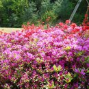 모동초등학교 이미지